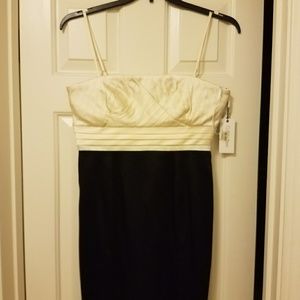 Calvin  Klein cocktail dress